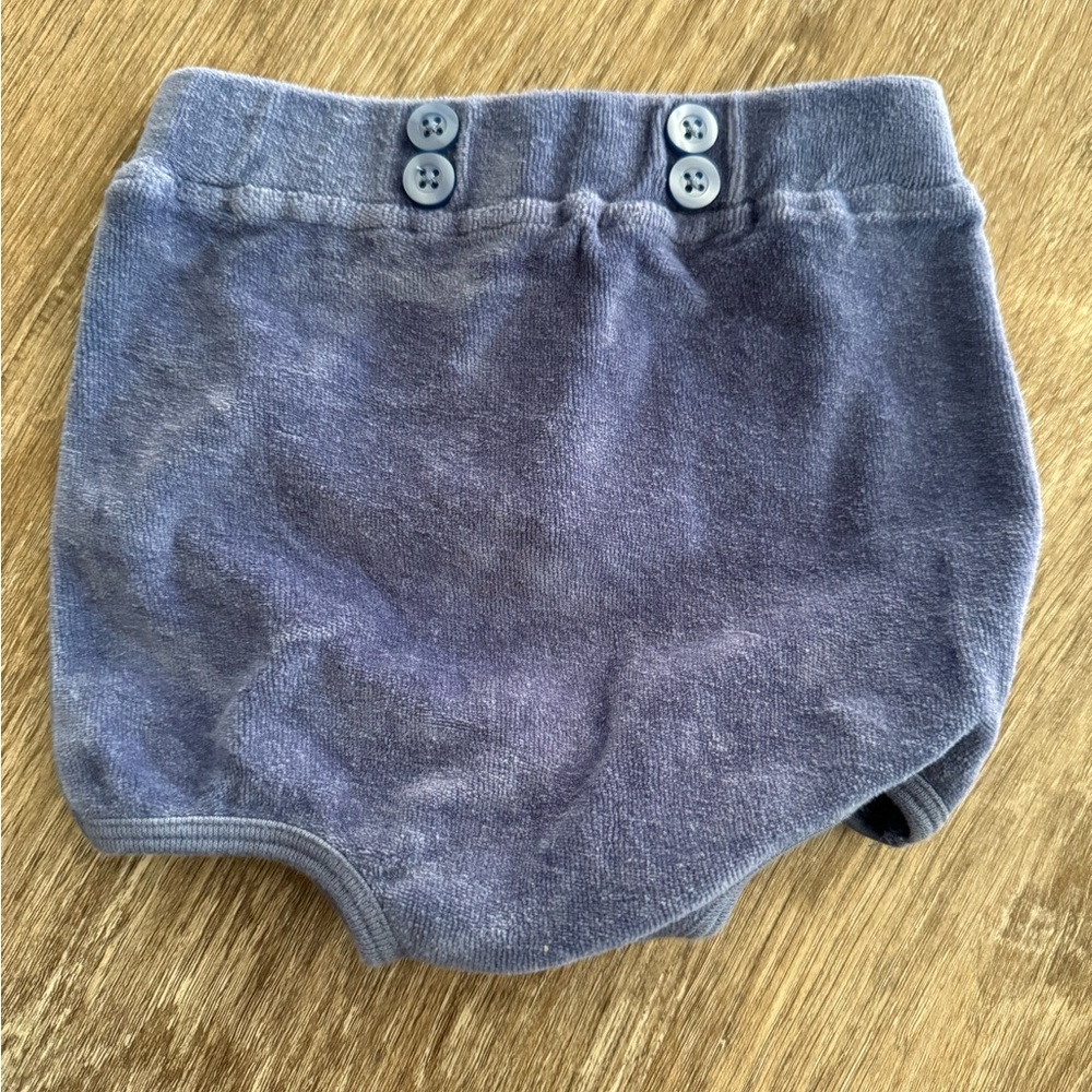 Kate Quinn high waist organic cotton velour bloomer